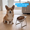 Make your dog happier and healthier
